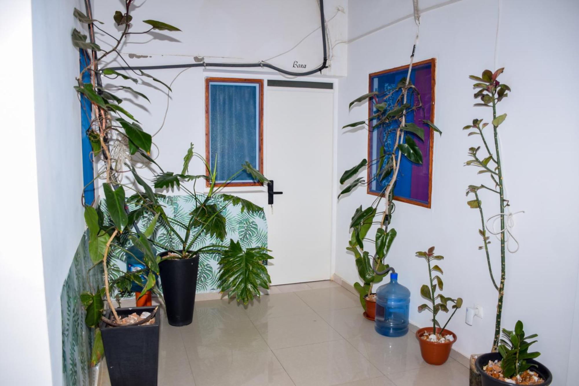 Boutique Hotel Principal ,Tarrafal Tarrafal  Εξωτερικό φωτογραφία